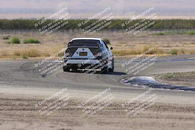 media/Oct-04-2025-OnGrid (Sat) [[44bd565ffa]]/Purple Group/Grapevine/